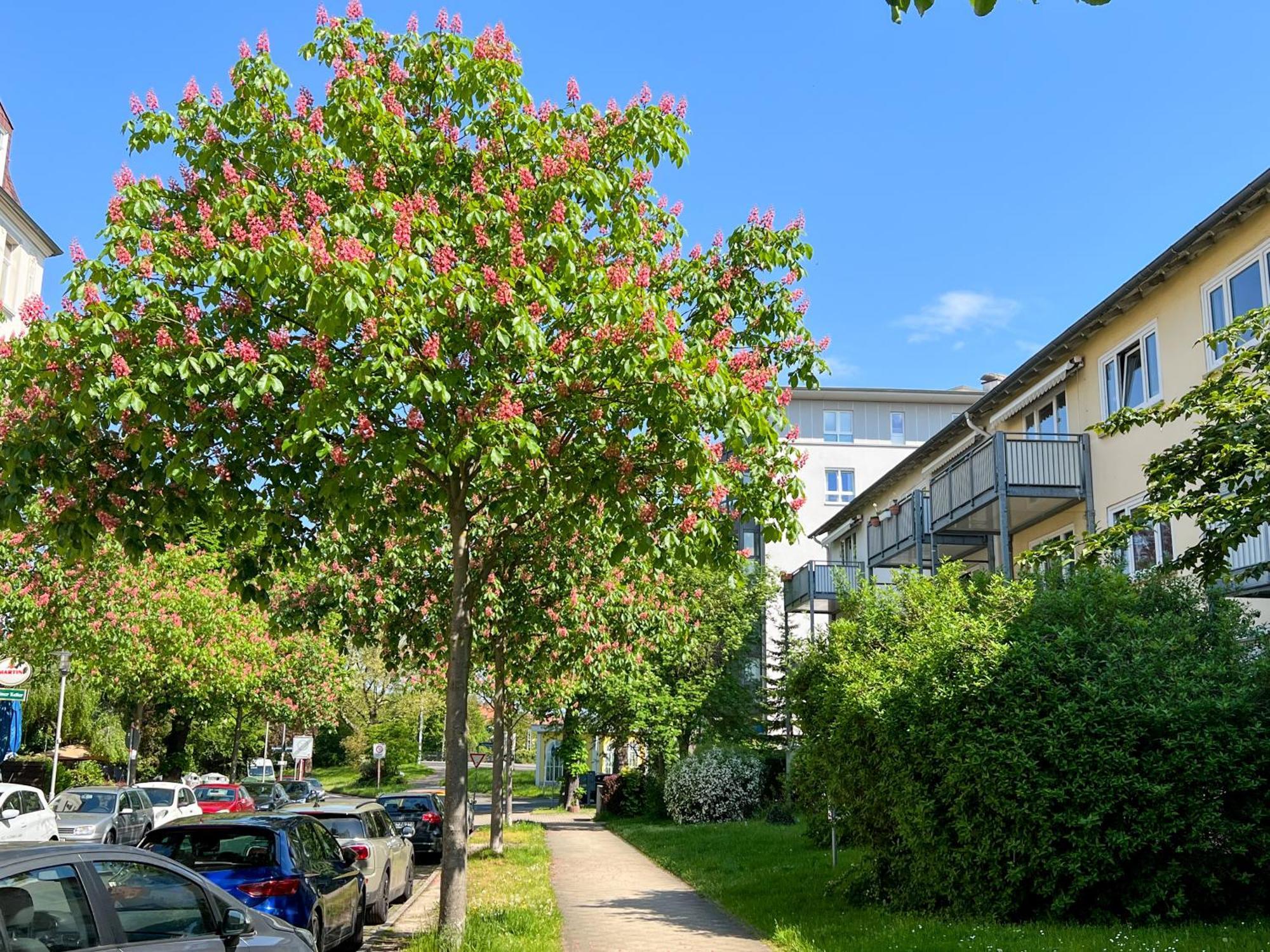 New-York Appartment, 2 Zimmer, Zentral Naehe Bahnhof Wilhelmshoehe 卡塞尔 外观 照片